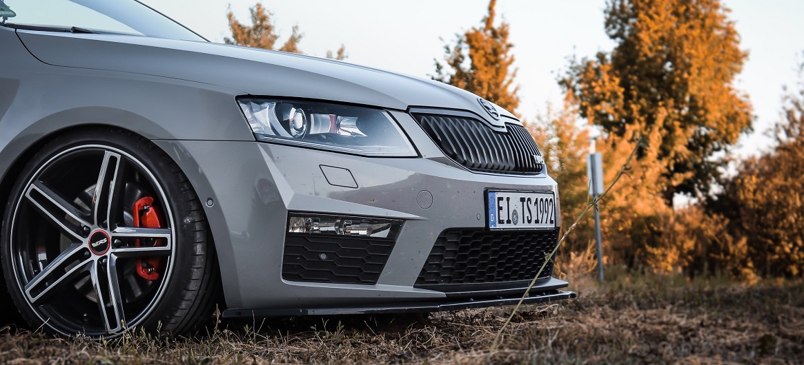 Unterwegs im Wald - Skoda Octavia 5e